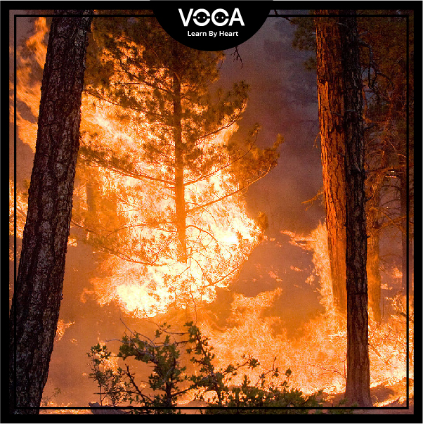 GLOBAL WARMING (Skills 2) GLOBAL WARMING (Skills 2)